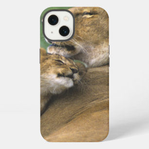 Tanzania, Ngorongoro Crater. African lion mother iPhone 13 Case