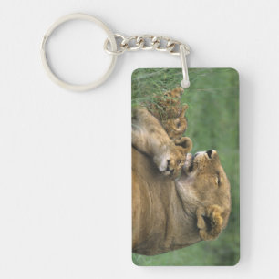 Tanzania, Ngorongoro Crater. African lion mother Keychain