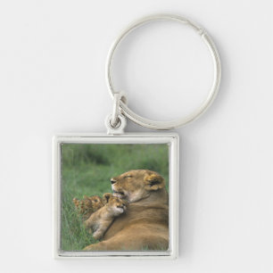 Tanzania, Ngorongoro Crater. African lion mother Keychain