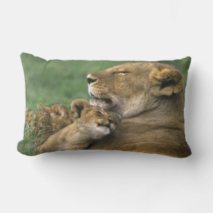 Tanzania, Ngorongoro Crater. African lion mother Lumbar Pillow