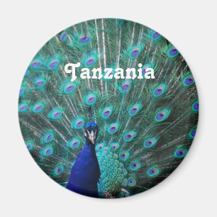 Tanzania Peacock Magnet