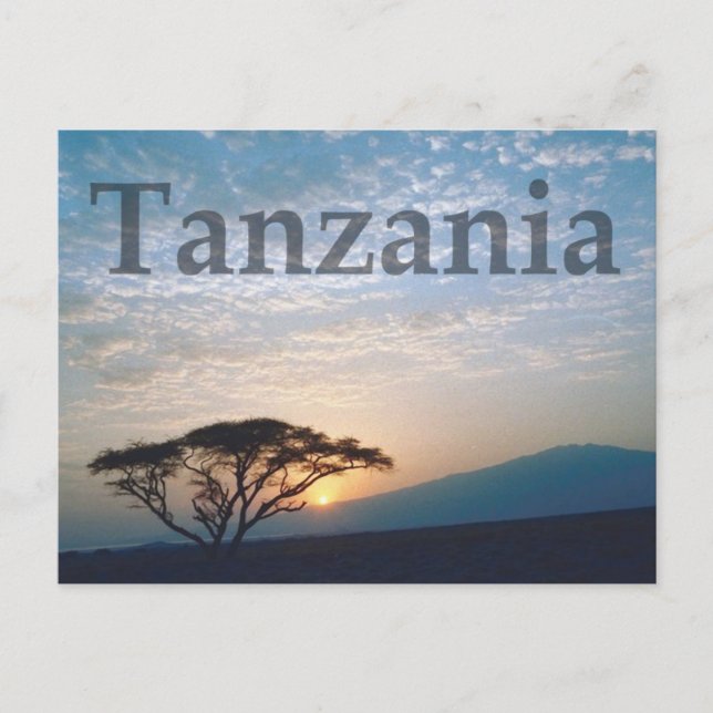 Tanzania Postcard (Front)