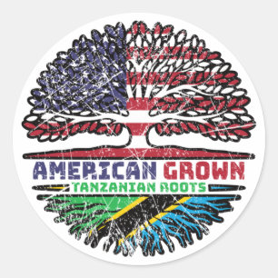 Tanzania Tanzanian US American USA United States Classic Round Sticker