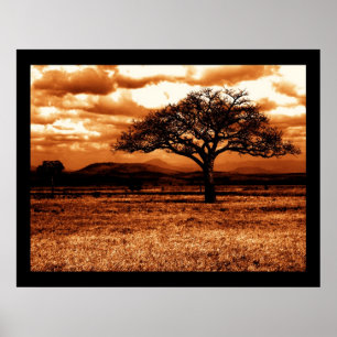 Tanzanian Safari Poster