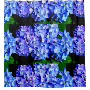 Tanzanite  Hydrangeas