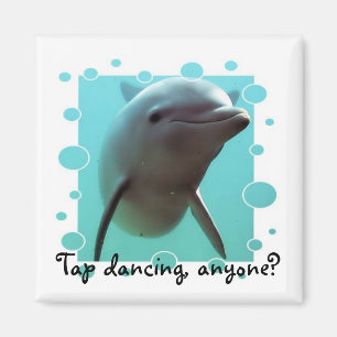 Tap dancing, anyone? magnet