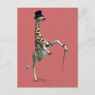 Tap Dancing Giraffe Postcard