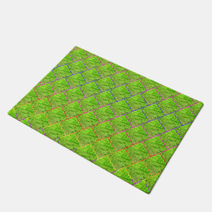 Tapete verde amarelado, quadros e 'junta' colorida doormat