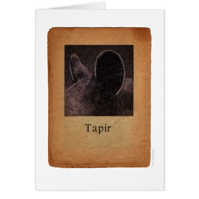 Tapir (Devant)