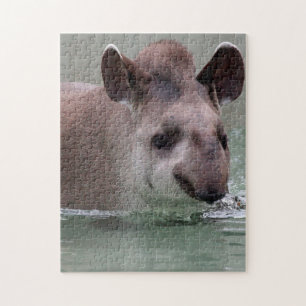 Tapir_2015_0101 Jigsaw Puzzle