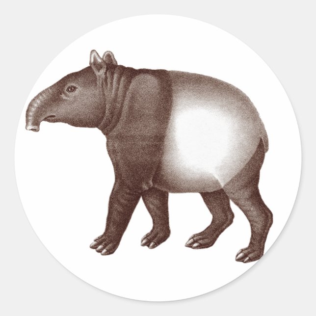 Tapir malais / Tapir asiatique - Stickers (Devant)
