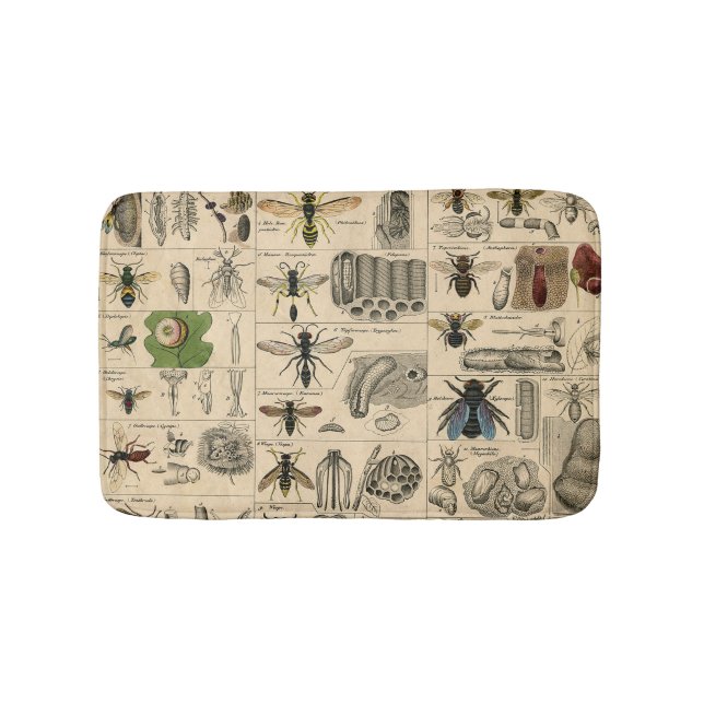 Tapis De Bain Abeille Insecte Bug Wasp Histoire naturelle abeill (Devant)