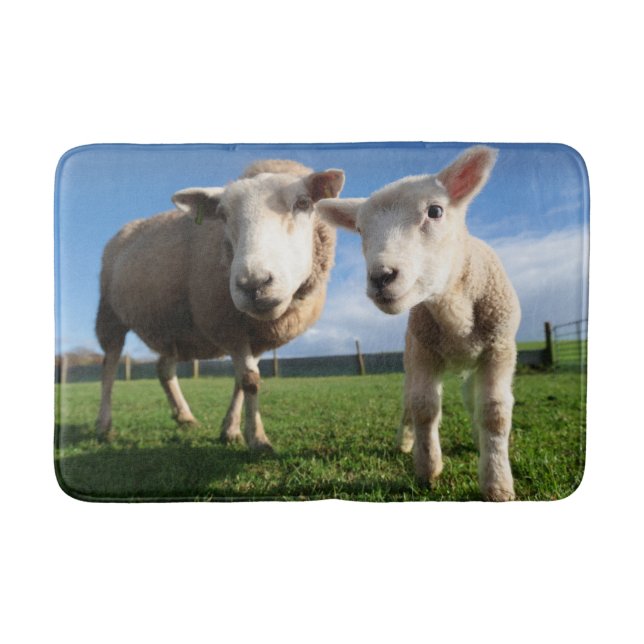 Tapis De Bain Animaux de bébés cutest | Agneau nouveau-né & mama (Devant)