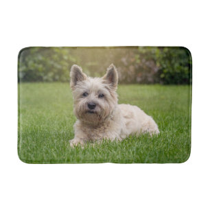 Tapis De Bain Animaux de bébés cutest   Cairn Terrier Dog