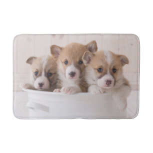 Tapis De Bain Animaux de bébés cutest   Cute Corgi Chipies dans 