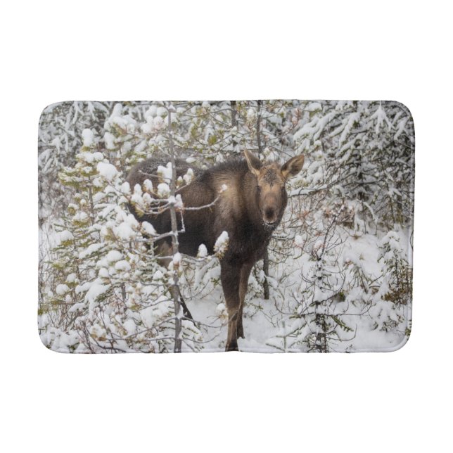 Tapis De Bain Animaux de bébés cutest | Moose Calf (Devant)