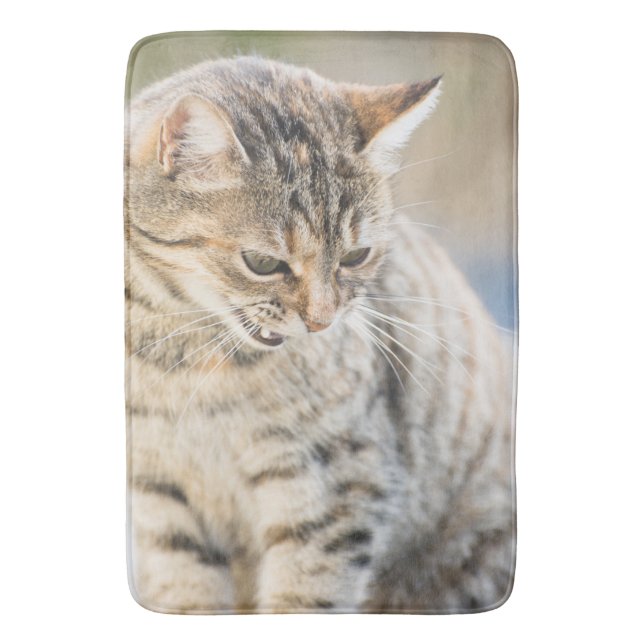 Tapis De Bain Beau chat (devant Vertical)