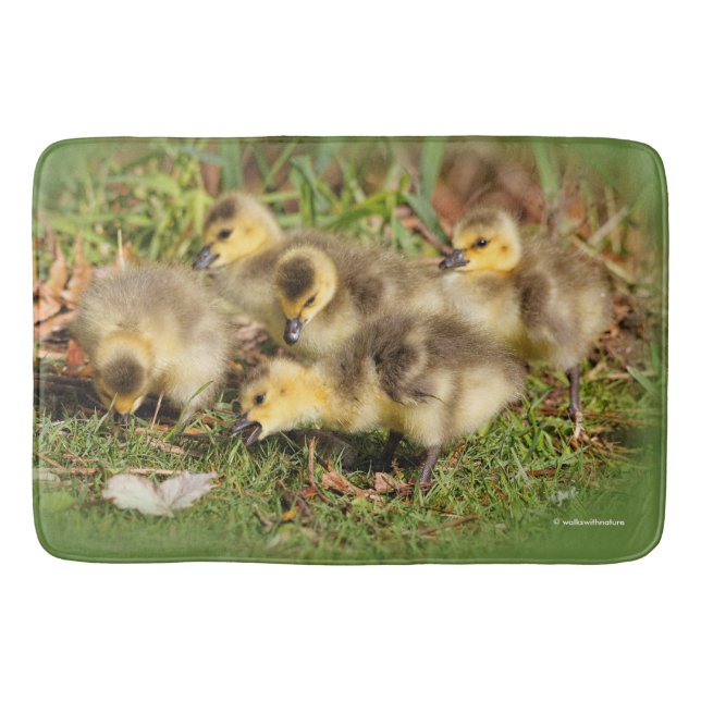 Tapis De Bain Bébé adorable Oies du Canada sur l'herbe (Devant)