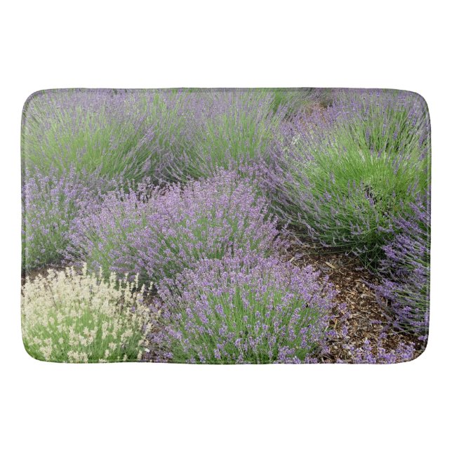 Tapis De Bain Belle lavande (Devant)