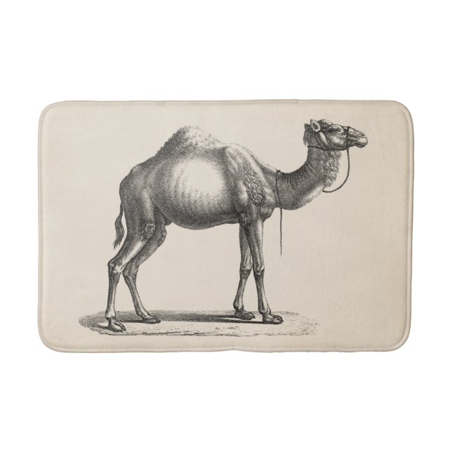 Tapis De Bain Brodtmann Dromedary Camel croquis (Devant)