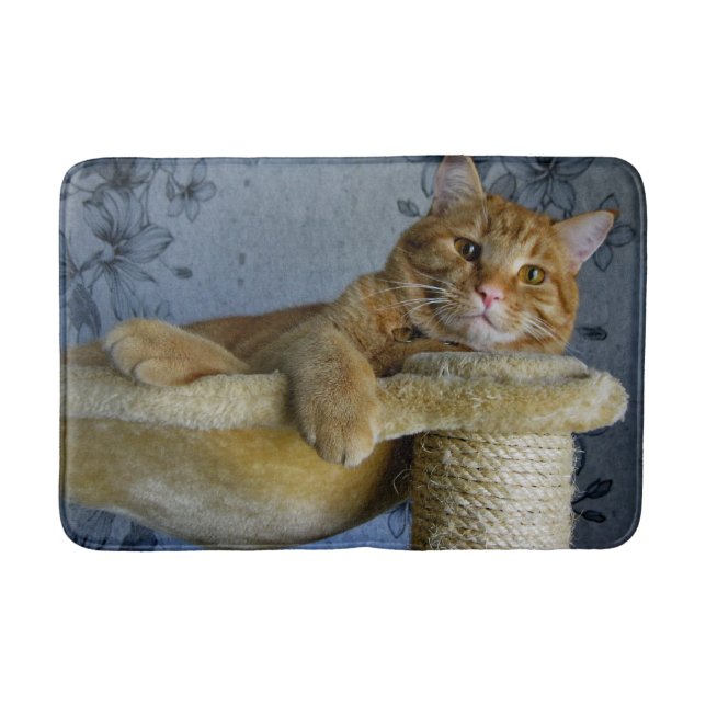 Tapis De Bain Chat de détente (Devant)