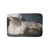 Chat de ragondin du Maine