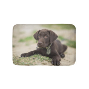 Tapis De Bain Chiot de laboratoire de chocolat
