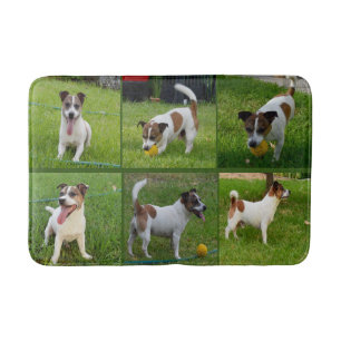 Tapis De Bain Collarge Terrier Brown Et Blanc Fox,