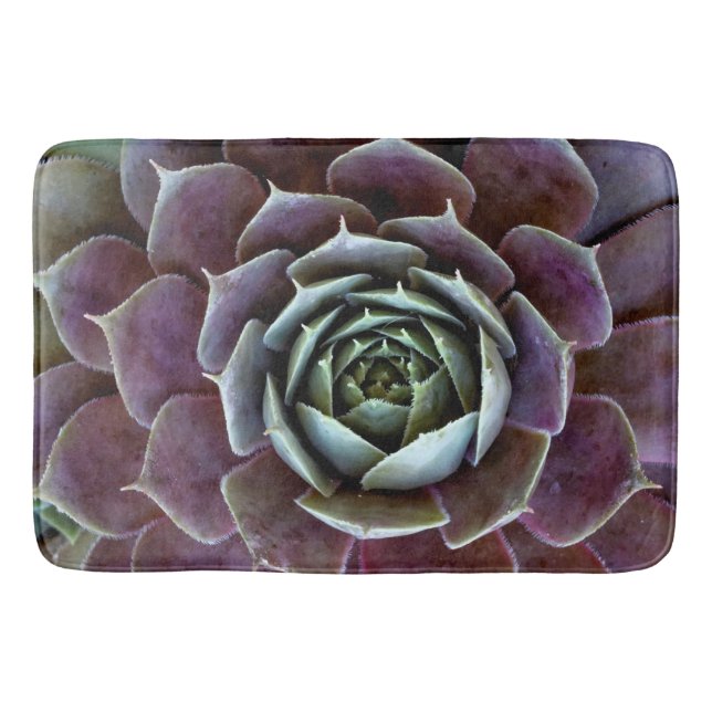 Tapis De Bain Complément Succulent pourpre (Devant)