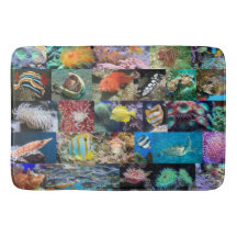 Coral Reef Marine Life tendance : Poissons et anim