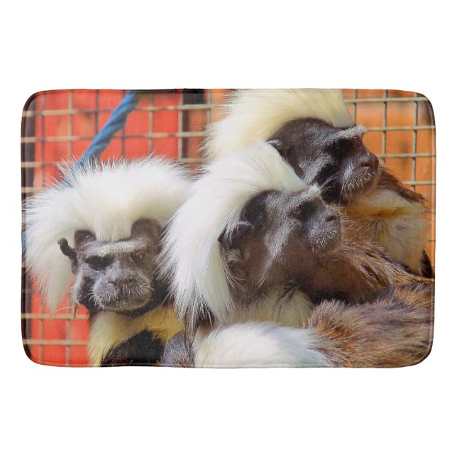 TAPIS DE BAIN COTON - TOP TAMARIN SINGES (Devant)