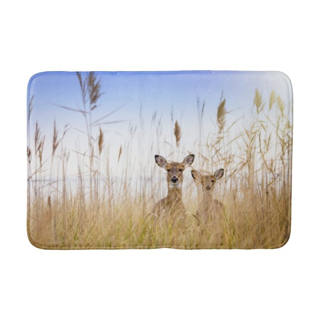 Tapis De Bain Cutest Baby Animals | Two Young White Tailed Deer (Devant)