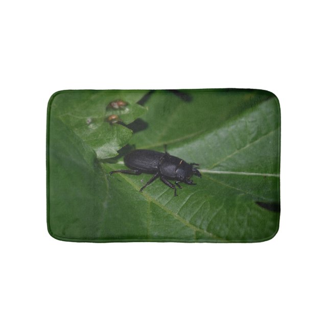 Tapis De Bain Dorcus parallelipipedus, le moindre dendroctone du (Devant)