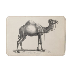 Tapis De Bain Dromedary Sketch