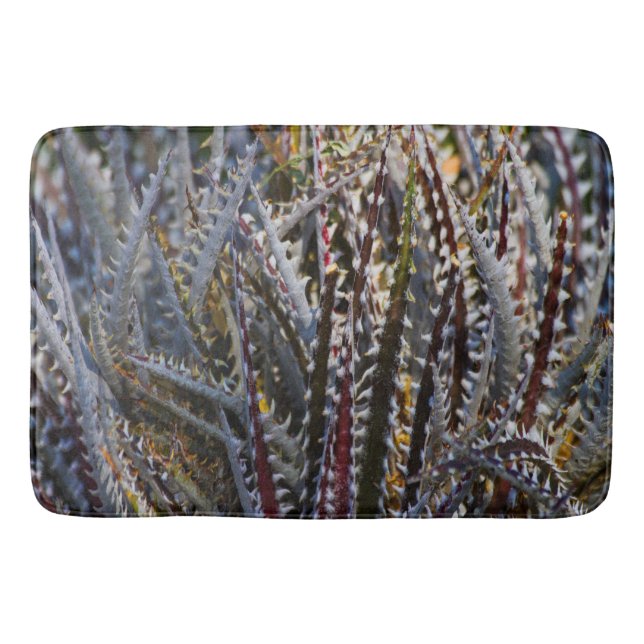Tapis De Bain Dyckia délice (Devant)