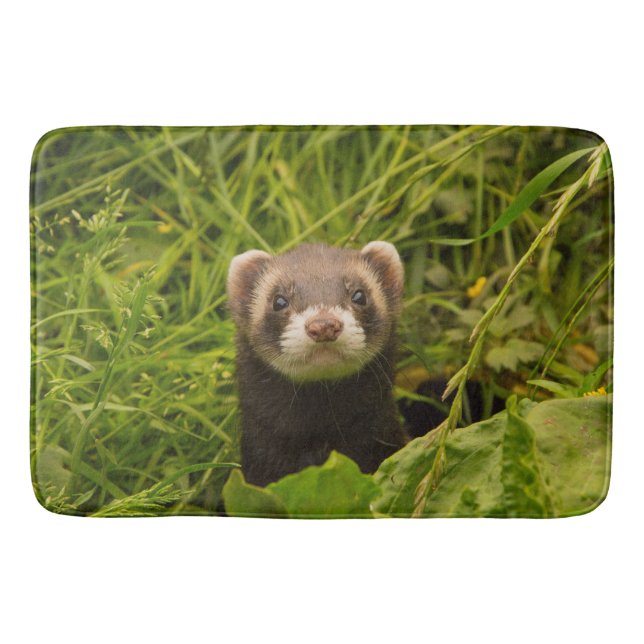 Tapis De Bain Ferret Brown mignon dans l'herbe photo (Devant)