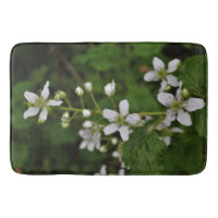 Fleurs de Blackberry