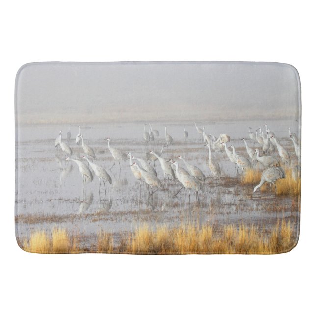 Tapis De Bain Grues de Sandhill (Devant)