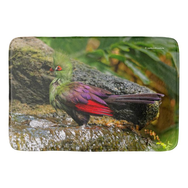 Tapis De Bain Guinée Turaco à la cascade (Devant)