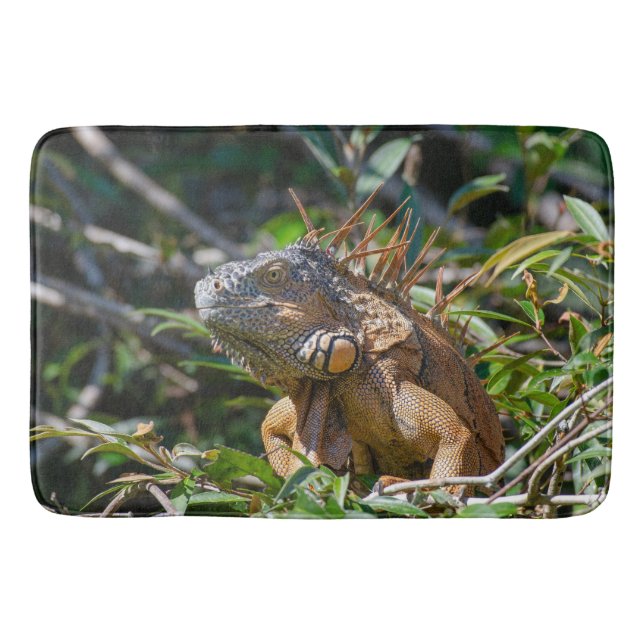 Tapis De Bain Iguana exotique, Belize Photographie (Devant)