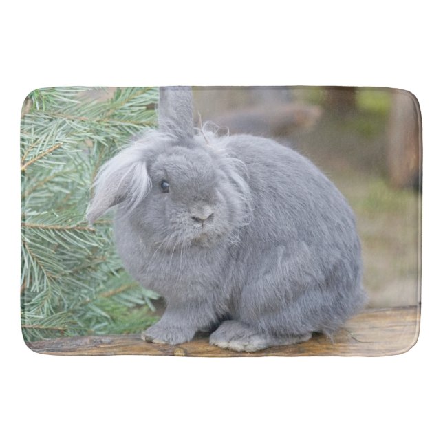 Tapis De Bain Joli lapin gris (Devant)