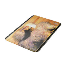 Modèles Primate : Hamadryas baboon 01