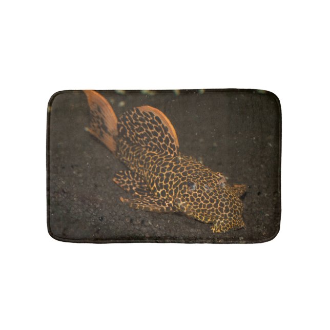 Tapis De Bain Peckoltia Compta (Devant)