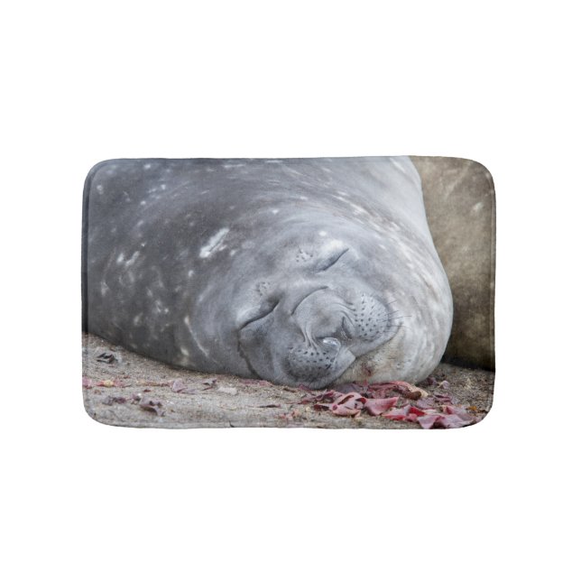 Tapis De Bain Phoque d'éléphant dormant (Devant)