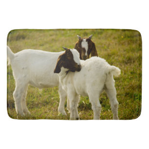 Tapis De Bain Photo de chevreaux Boer dans un pâturage
