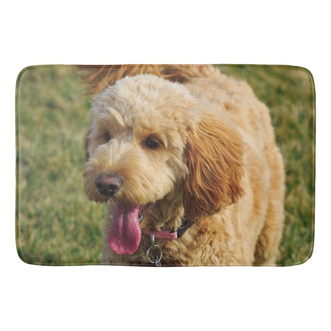Tapis De Bain Photo Goldendoodle Dog (Devant)