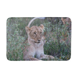 Tapis De Bain Photographie de faune de lionne au repos