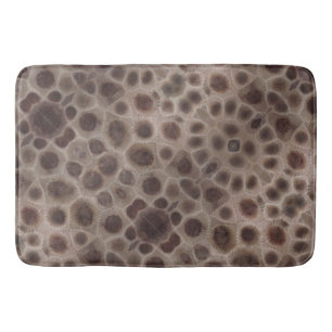 Tapis De Bain Pierres Petoskey   Michigan State stone