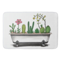 Plantes de Cactus mignons