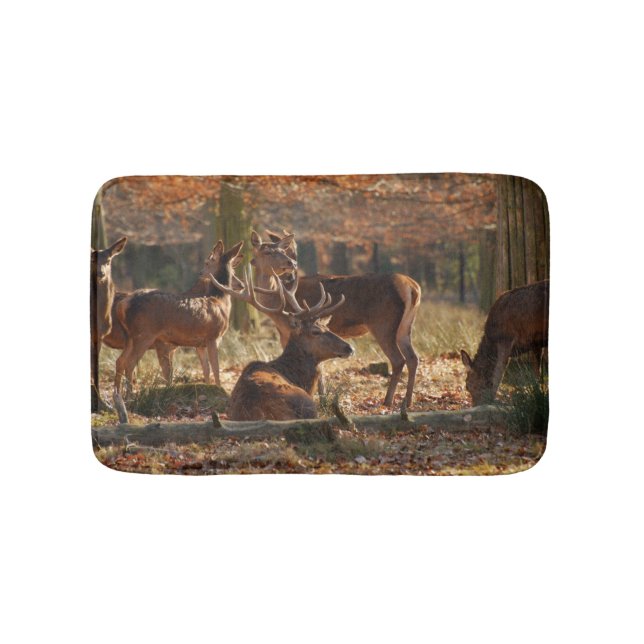 Tapis De Bain Red Deers Dans Le Bois D'Autum (Devant)